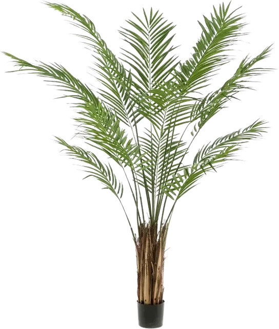 Künstliche Areca Palme Isaiah von Aplanta, Höhe: 180 cm - Bild 1