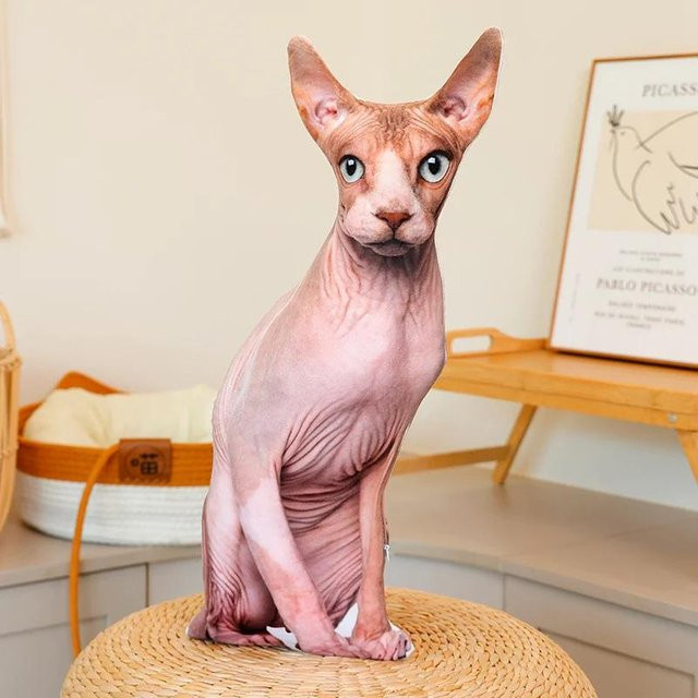 Kidsly Katzen Plüschtier, Rosa / Pink, 48cm - Bild 1