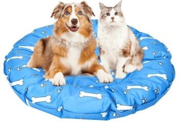 nobleza Rundes Kühlbett für Hunde mit Pfoten- und Knochen-Print in Blau-Weiß mit Gel-Beads und erhöhtem Rand - Bild 1