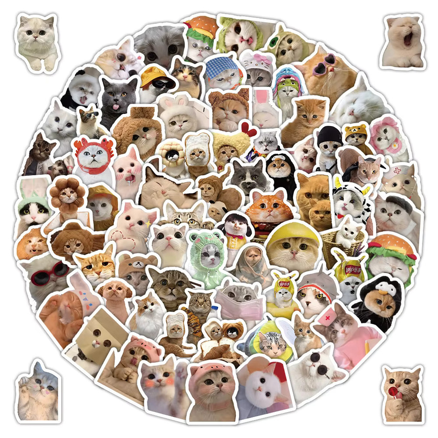 100 Stück realistische Katzen-Fotolaufkleber in Multicolor von RecordingYourLife Store - Bild 2