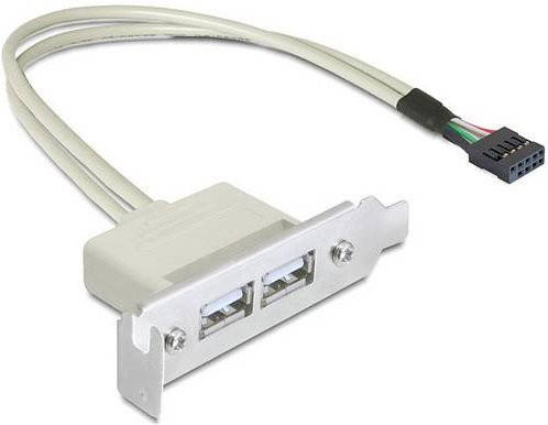 Delock USB 2.0 Slotblech mit USB-A Anschluss in Silber, Länge: 0,5 m - Bild 1