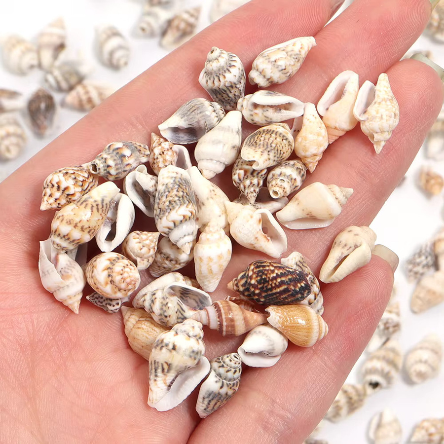 Louleur Muschelperlen, Distanzperlen, DIY-Handwerk Zubehör - Bild 2