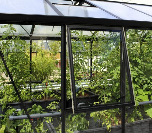 Vitavia Seitenfenster Z für Gewächshäuser aus Aluminium und ESG in Schwarz, B/T: 70,8 x 86,2 cm - Bild 1