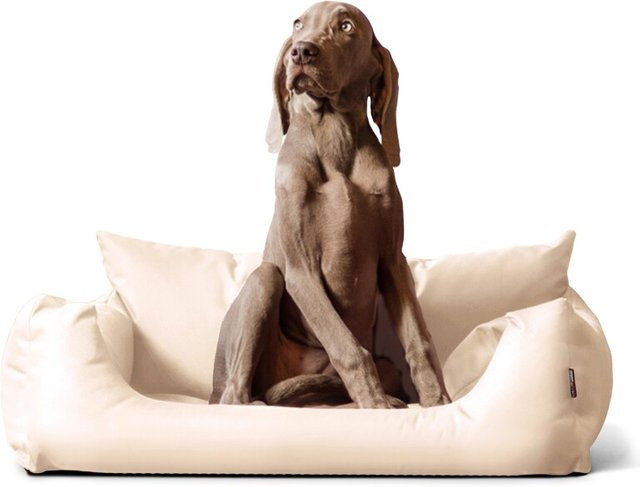 Tierlando NEMO Hundebett Hundesofa als Katzenbett in Beige mit abnehmbarem Bezug und erhöhten Rändern, B/T/H: 100 x 80 x 25 cm - Bild 1