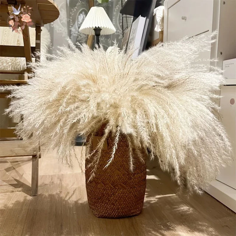 YN HI FLOWER Beige Getrockneter Pampasgras Blumenstrauß im Bohemian Stil für Hochzeiten und DIY Dekorationen - Bild 1