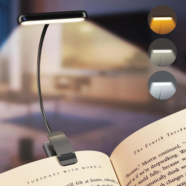 DBF LED-Buchleuchte in Schwarz, dimmbare und verstellbare Leseleuchte mit USB-Ladefunktion und Clip-Halterung - Bild 1