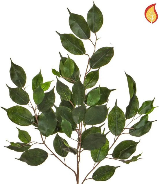 Künstlicher Ficuszweig Yvonne von Aplanta, Höhe: 75 cm - Bild 1