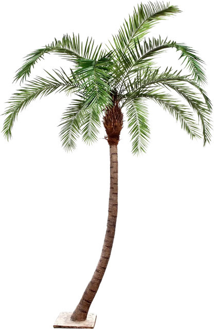 Künstliche Phoenixpalme Simon von Aplanta, Höhe: 390 cm - Bild 1