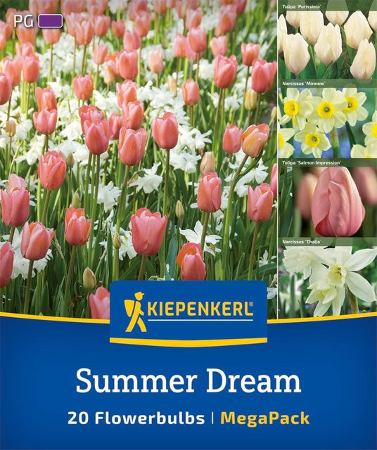 Kiepenkerl Mega Pack Summer Dream Blumenzwiebeln, 20 Stück, bunt (weiß, gelb, pink, mehrfarbig) - Bild 1