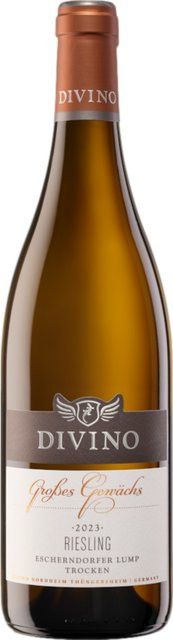 Divino Riesling GG Weißwein, 2023, Franken, trocken, 0,75 l - Bild 1