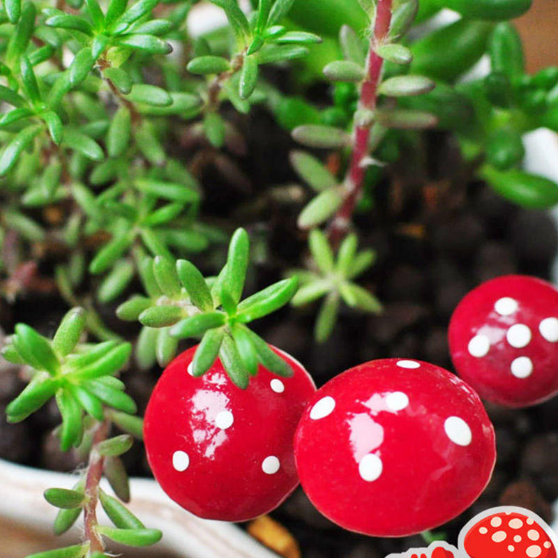 10 Stück Mini rote Pilz Deko-Ornamente von Happy Day aus Kunstharz und Schaum für Bonsai und Garten DIY-Handwerk - Bild 1
