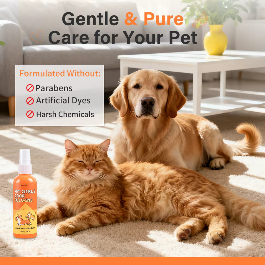 GJYC PET Zitrus-Enzymatisches Haustier-Deodorant-Spray zur Geruchsneutralisierung von Urinflecken in Orange, Teppich- und Polsterreiniger für Hunde und Katzen - Bild 2