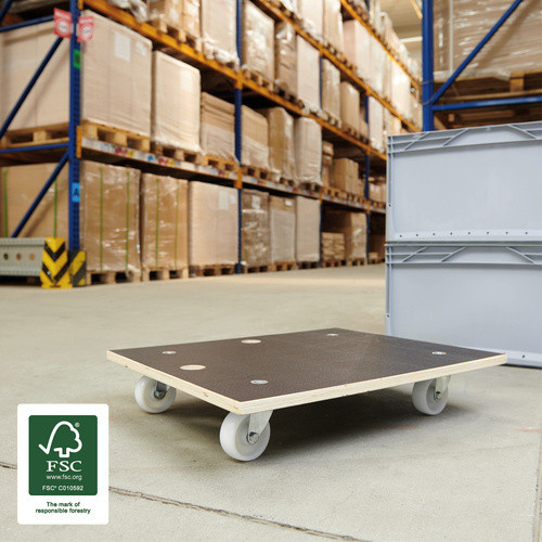 WAGNER SYSTEM Transporthilfe MM in Braun mit einer maximalen Tragfähigkeit von 250 kg, B/H: 49 x 11 cm - Bild 2