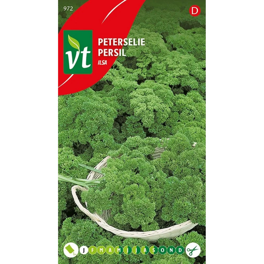 Petersilie Ilsa Saatgut arborix 3 g - Bild 2