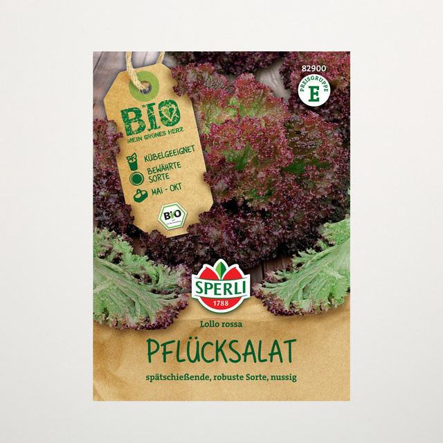 Sperli Pflücksalat Lollo Rossa Bio Gemüsesaat für Garten und Balkon - Bild 1