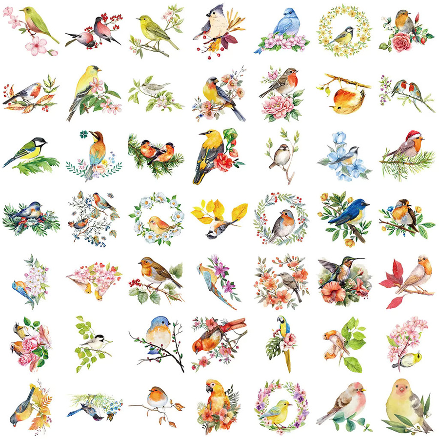 50 Stück wasserfeste Aquarell-Vogel-Aufkleber aus transparentem PET für Scrapbooking und Dekoration von Notebooks oder Gitarren von AnimeWorlds Store, Mehrfarbig - Bild 2