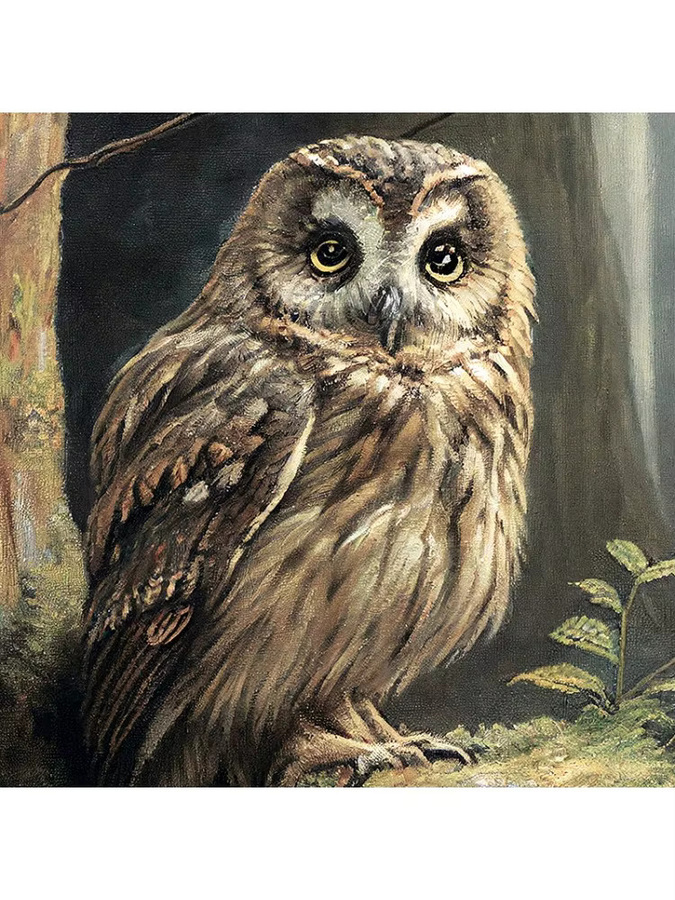 Potdemiel Leinwandposter Eulen-Antik-Ölgemälde mit botanischem Motiv in Schwarz für eine stimmungsvolle Wanddekoration - Bild 3