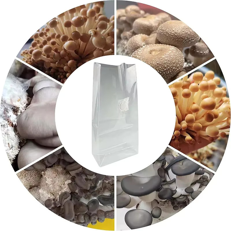 10 Stück atmungsaktive Pilz-Grow-Bags aus transparentem Polypropylen mit PP-Filter für die Pflanzenzucht - Bild 4