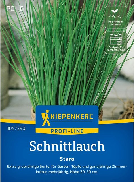 Kiepenkerl Schnittlauch Staro Kräutersamen für Garten und Balkon - Bild 1