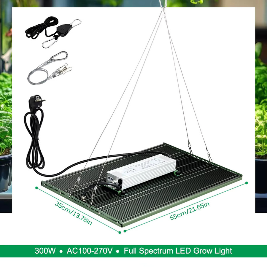 GRAXGROW 300 W LED-Wachstumslampe mit Vollspektrum-Beleuchtung und Dimmknopf aus Aluminium für Blumen und Gemüse - Bild 4
