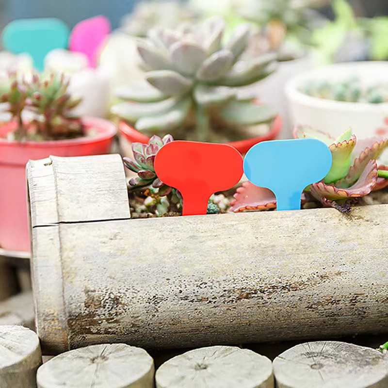 100 Stück Gartenetiketten aus Kunststoff in Bunt für die Pflanzenbeschriftung - Bild 4