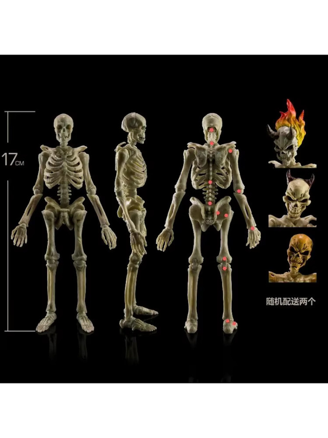 Hot Toys Menschliches Superflexibles Skelett Zubehörmodell, 1/12 Maßstab, Actionfigur, 17cm, 22 Bewegliche Gelenke - Bild 2