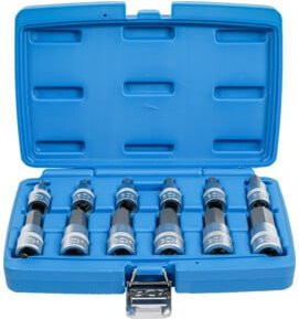 BGS Bit-Einsatz-Satz mit 12,5 mm Innenvierkant und Innensechskant 5 - 22 mm, 12-teilig, blau - Bild 1