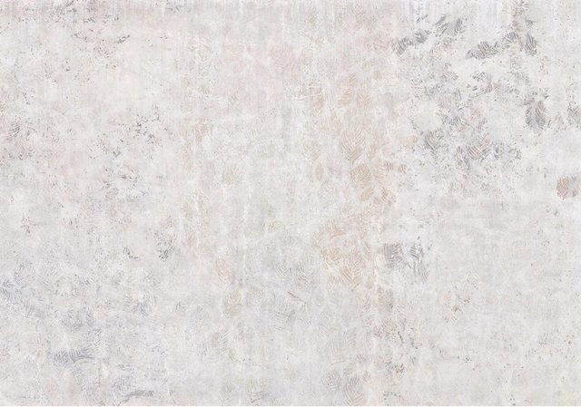 Komar Fototapete Vlies Feathered B x H: 400 x 280 cm - Bild 1