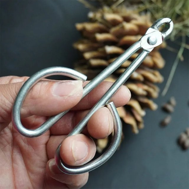 PGY Nussknacker Pinienkernschäler und Nusszange aus Metall in Silber - Bild 1