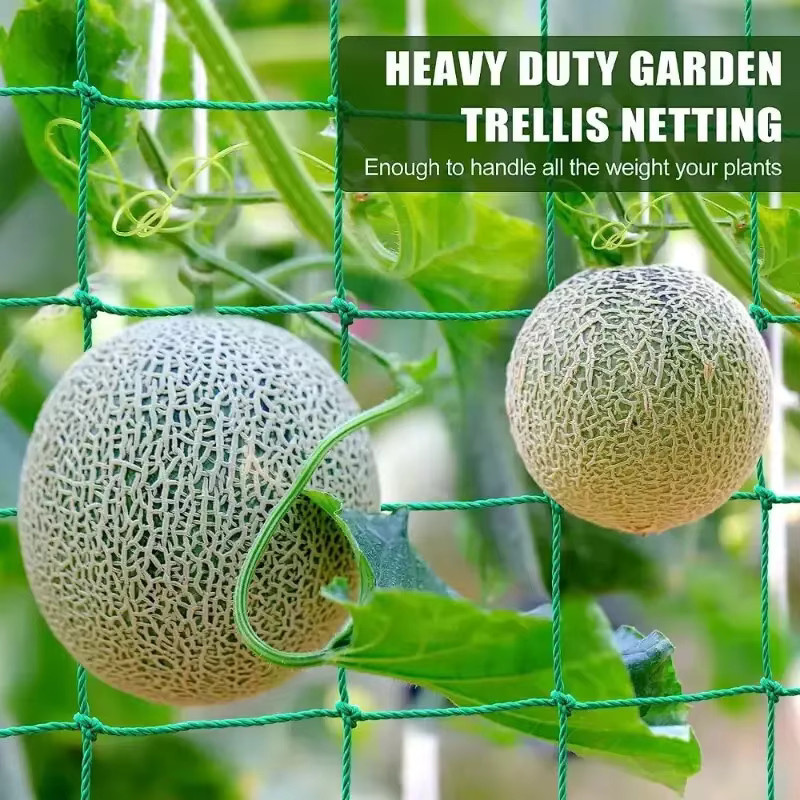 Grünes Nylon-Gartennetz als Kletternetz und Wachstumshalter für Blumen, Weinpflanzen und Gemüse - Bild 4