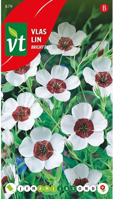 Arborix Lein Bright Eyes Samen für auffällige Blüten, 1 g - Bild 1