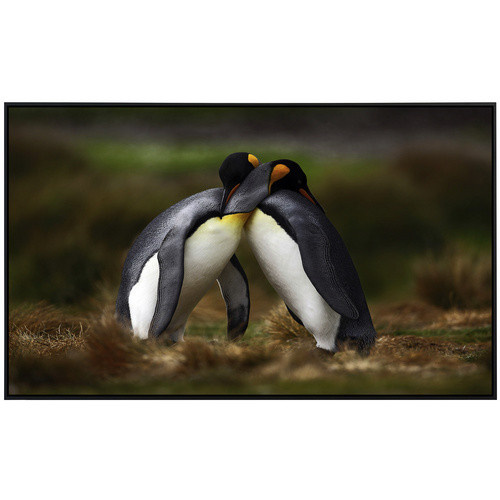 papermoon EcoHeat Infrarotheizung Pinguine mit Matt-Effekt in Bunt, App-Steuerung und Überhitzungsschutz - Bild 2