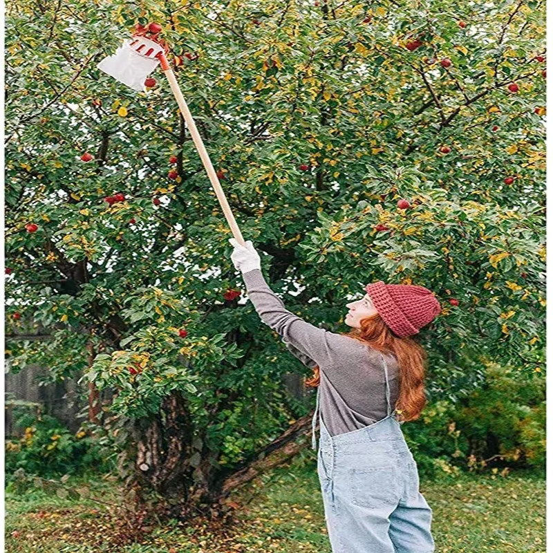 Obstpflücker mit Fang-Sammelbeutel für große Höhen zur Ernte von Jujube, Walnuss und Kaki - Bild 4