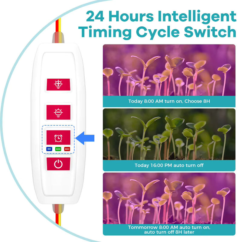 Dimmbares LED-Pflanzenwachstumslicht mit Vollspektrum und Timer für Kaktusblumen und Sukkulenten via USB 5 V - Bild 3