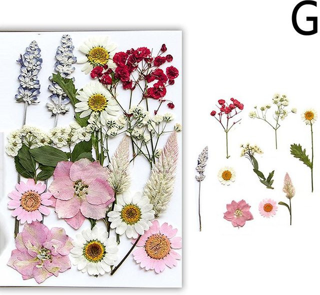 Rui Di Getrocknete Rosen Blumen in Mehrfarbig für Epoxidharz, Nagelkunst und DIY-Schmuckherstellung - Bild 1
