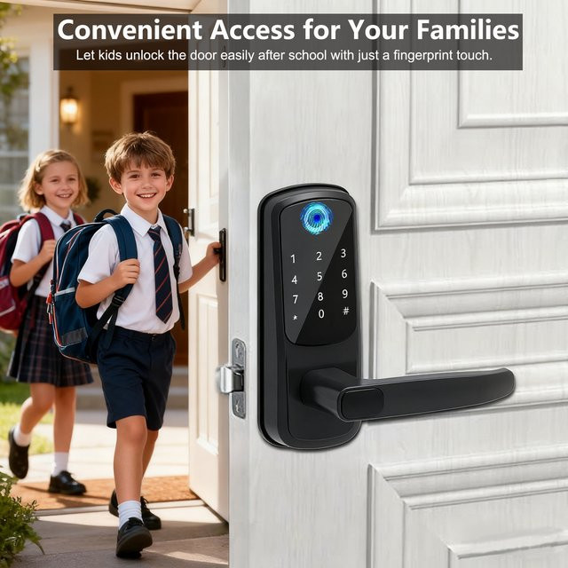 L.AOL.AU Wifi Smart Türschloss in Schwarz mit Fingerabdruck, Passwort, Smartcard und App-Steuerung - Bild 1