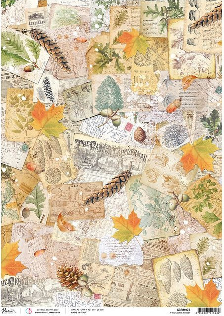 Motiv-Strohseide Ciao Bella Herbststimmung in Braun und Multicolour mit Tannenzapfen, antiken Papieren und Herbstblättern, Format A3 - Bild 1
