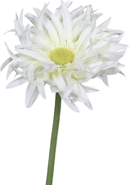 Künstliche Gerbera Eva von Aplanta, Höhe: 57 cm - Bild 1