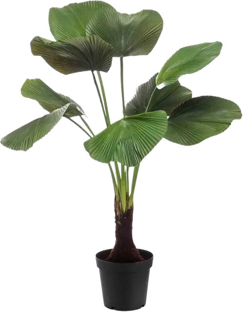 Künstliche Strahlenpalme Naomi von Aplanta, Höhe: 130 cm - Bild 1