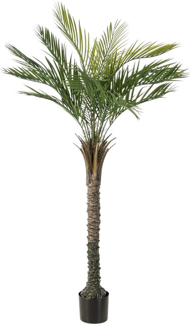 Künstliche Palme Penny von Aplanta, Höhe: 150 cm - Bild 1