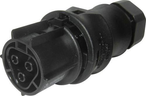 Wieland Electric RST CLASSIC Buchsenteil 99.449.6046.6 Schwarz 230V 3polig - Bild 1