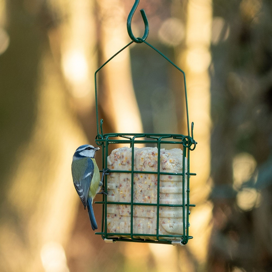 CJ Wildlife Energieblock-Halter für Vogelfutter in Grün aus Metall - Bild 4