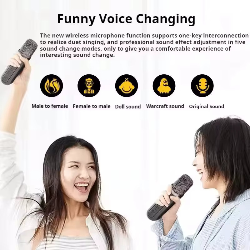 AyeBeau Tragbarer Drahtloser Bluetooth Karaoke Lautsprecher mit Mikrofon in Schwarz oder Weiß - Bild 3