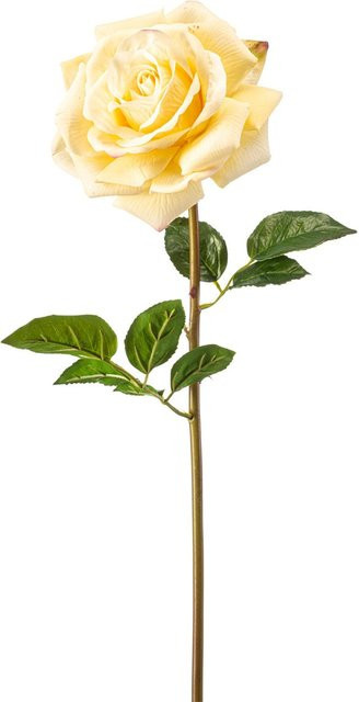 Künstliche Rose Melinda von Aplanta, Höhe: 68 cm - Bild 1