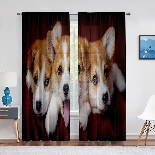 Binchi Outdoor Equipment Transparente Tüllvorhänge mit Corgi-Welpe im Blumenfeld, Modernes Chiffon-Fensterdekor für Küche, Wohnzimmer oder Schlafzimmer, B: 100 cm, H: 250 cm - Bild 1