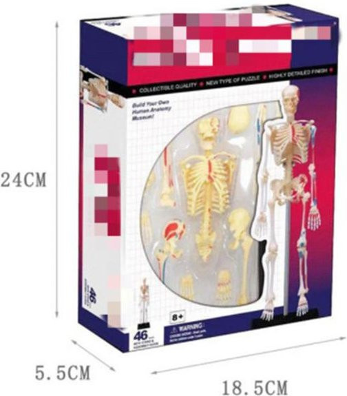 4D Meister Puzzle Menschlicher Körper Organ, Anatomisches Modell, ab 14 Jahre - Bild 1