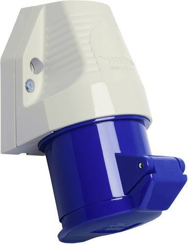Walther Werke CEE Wandsteckdose 32A 3-polig 230V IP44 Aufputz Montage Multicolor - Bild 1
