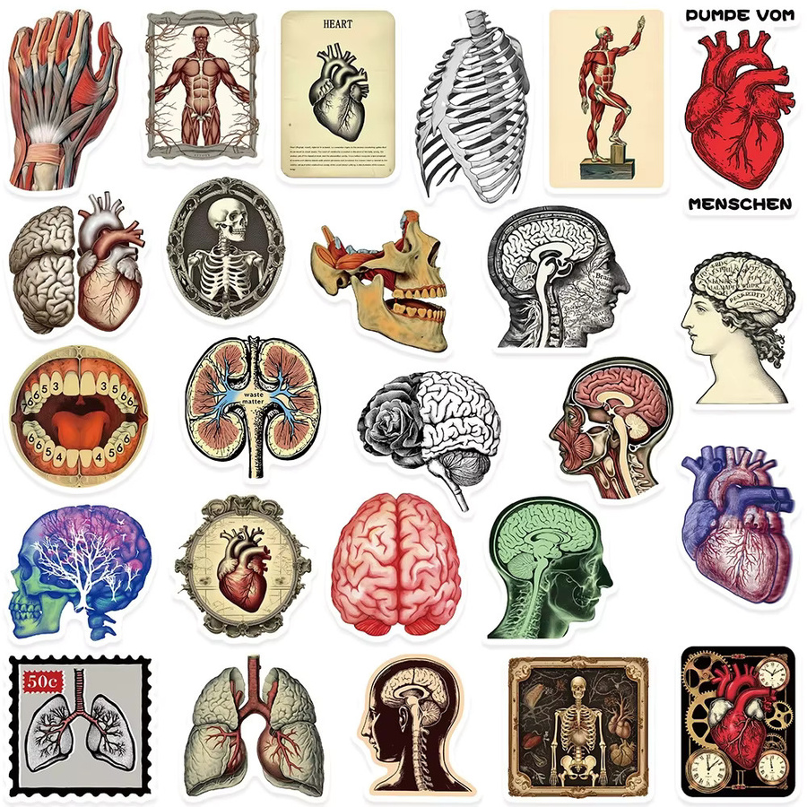 Charile Anatomie Organe Aufkleber, Cartoon, multicolour - Bild 4