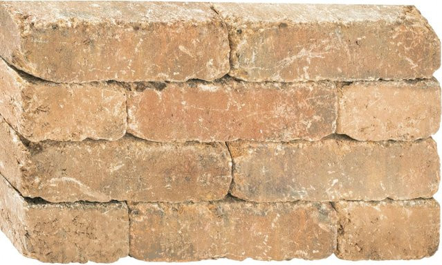 Diephaus Mauerstein Sandstein Farbe Sand B/H/T: 30 x 10 x 10 cm - Bild 1