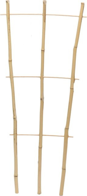 Floraworld Pflanzengitter Classic aus Bambus für Topfpflanzen, Höhe: 75 cm - Bild 1